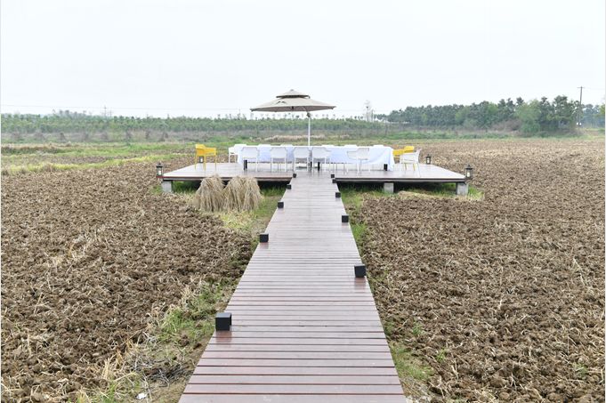 外国人评价蜀马赛道 (2019蜀马赛道展示)