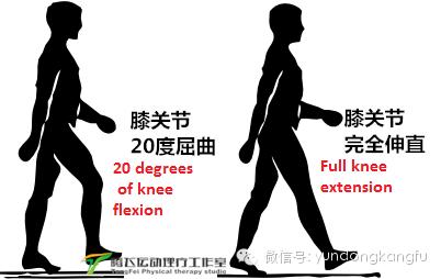 膝腓侧副韧带损伤怎么恢复,膝内侧副韧带损伤修复视频