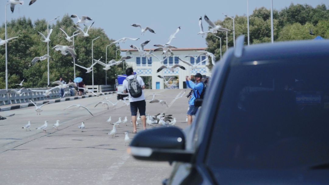 泰国vlog素材,泰国素材vlog