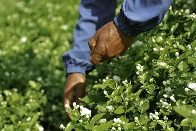 平价超级补水的护肤品,补水纯露国货好物推荐