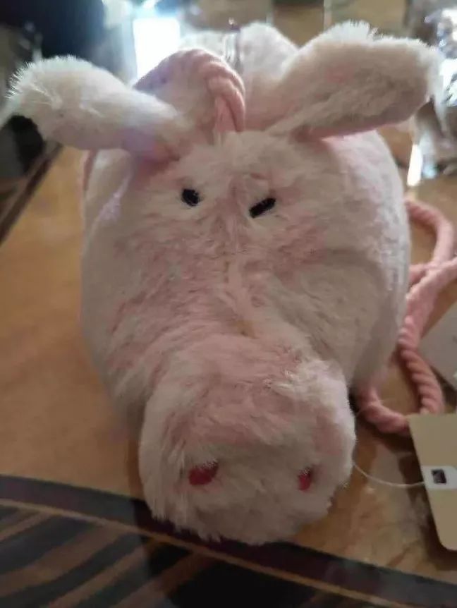 一周内奇闻趣事,一周趣事250字