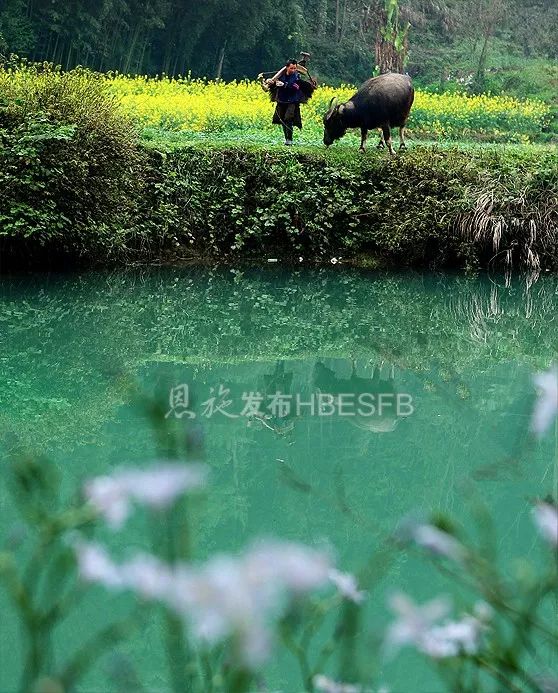 游恩施的攻略有哪些地方可以玩,恩施游玩哪些地方值得去玩