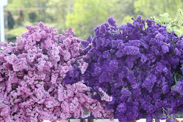 去哪儿首发：72小时玩转宜都，穿越古今，看大自然和人类文化的碰撞