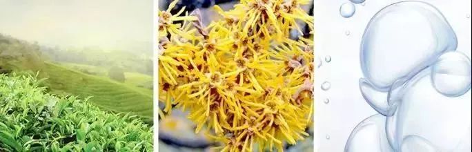 又爽又恶心的去黑头方法来了！5分钟将你10年的黑头白头连根拔起！