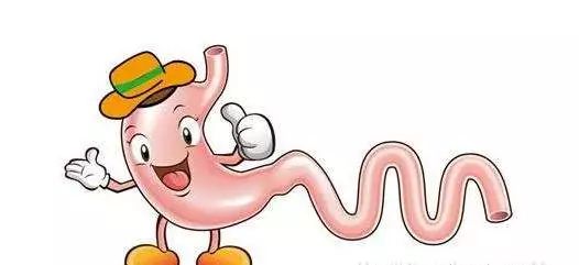 肠道恢复最快方法,肠道训练视频教程