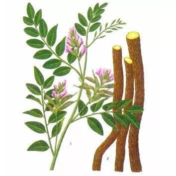 这种草价值堪比黄金,农村这种草价值极高