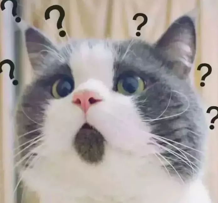 一夜之间所有的店铺关闭了,常州电动车门店集体关门后果