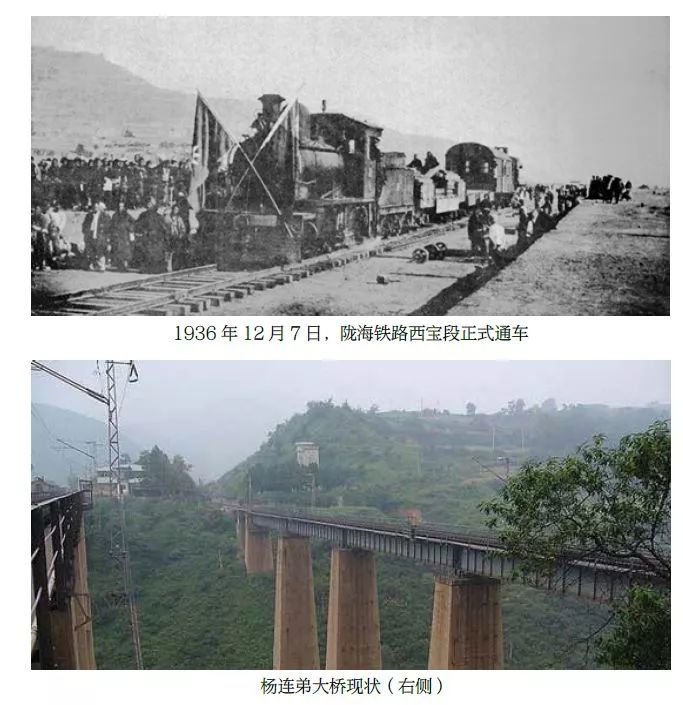 【早安·芜湖】中山南路的10多棵大树为何被砍？