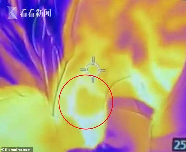 热成像仪拍摄妈妈给娃喂奶乳房惊现“爱心”图案网友：液体母爱