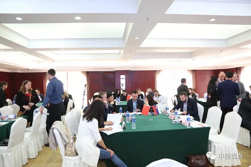 热烈欢迎斯洛伐克商务代表团来我区访问——我区举行中斯企业合作洽谈会