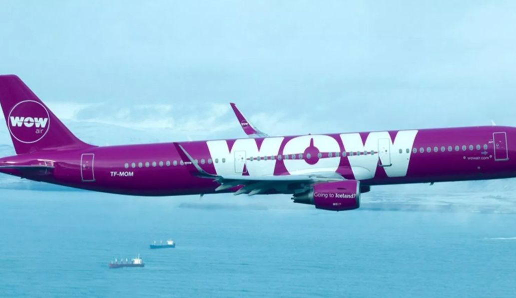 我居然写倒闭了这么多公司？