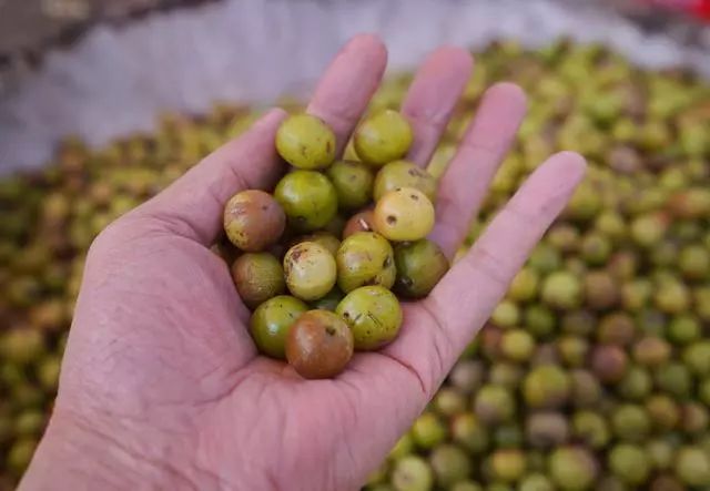 剑川菜市场,剑川县农贸市场买菜