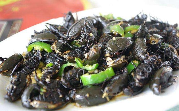 吃虫的怪物,吃虫虫真实视频