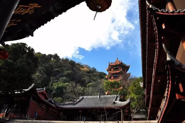 四川有座紫色小城，5月比美澳洲，比大理更多情