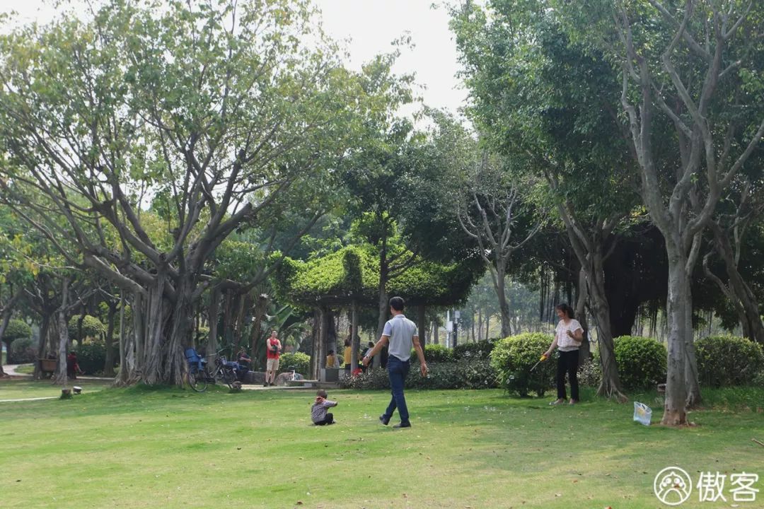 厦门美食探店海沧,厦门海沧特色美食探店
