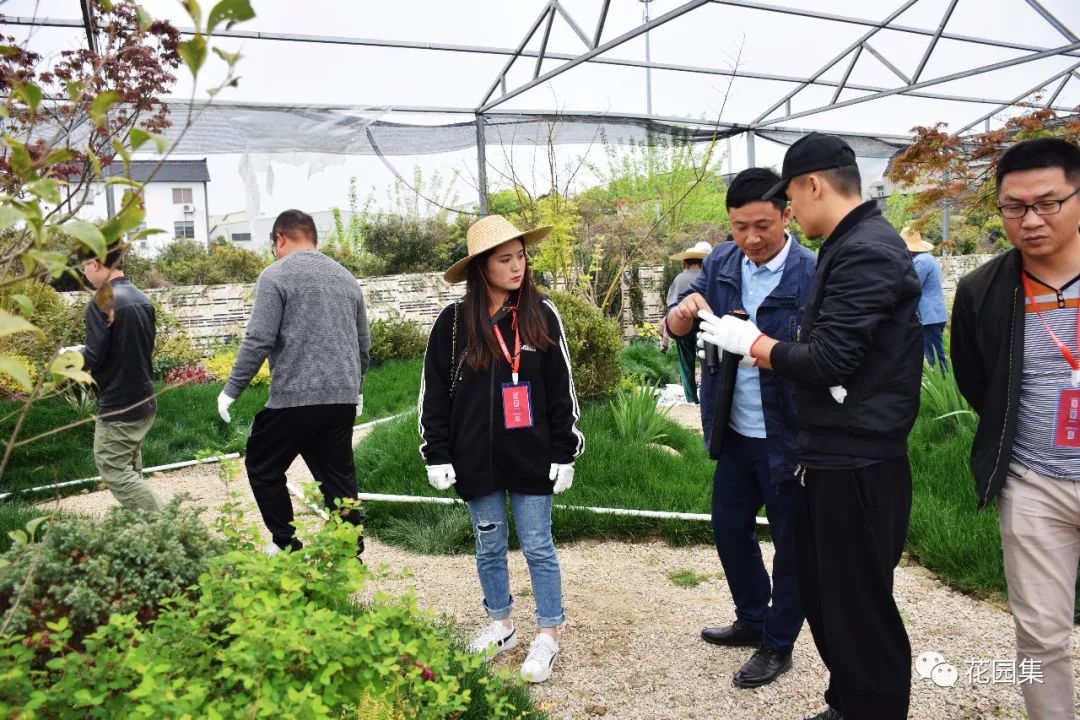 喷灌浇水最快的方法,庭院自动喷灌用什么水