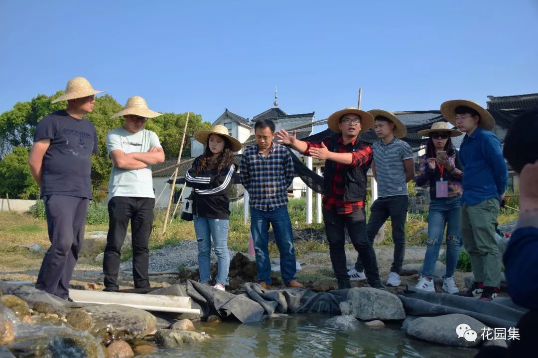 庭院自动喷灌效果图,地埋式喷灌庭院