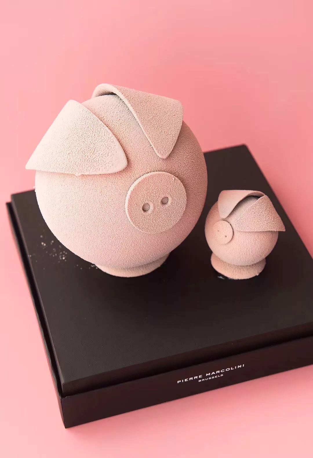 葵式生活|夏天Girls的第一口甜是冰淇淋给的~