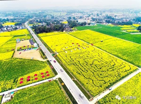 崇州自然赏花美景,崇州青山绿水