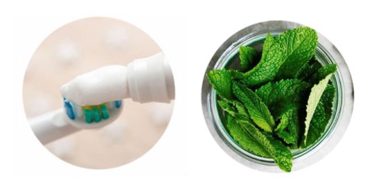 日本最奇葩的审美,日本的诡异审美观