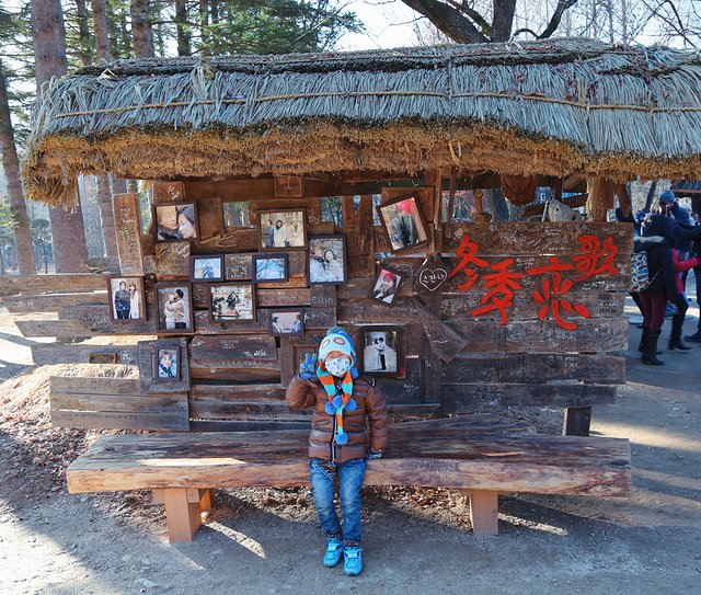 济州冬日的海，首尔春日的花，那些电影里的故事