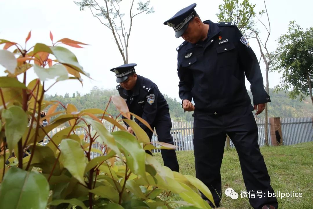 派出所抓捕弹弓哥,直击持枪伤人案民警民兵进山搜捕