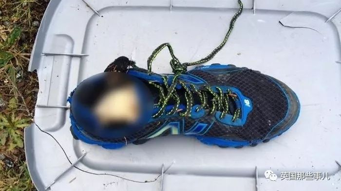 海滩接连出现21只断脚，还都穿着运动鞋？其中玄机也是万万没想到