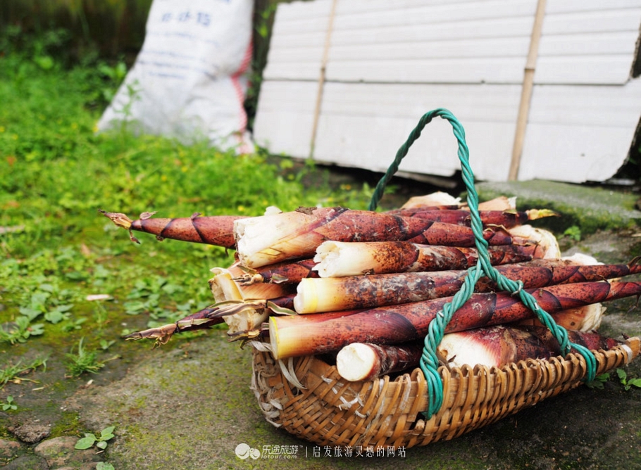 山沟沟里不存在的风景美如画,充满田园风光的美丽小村庄