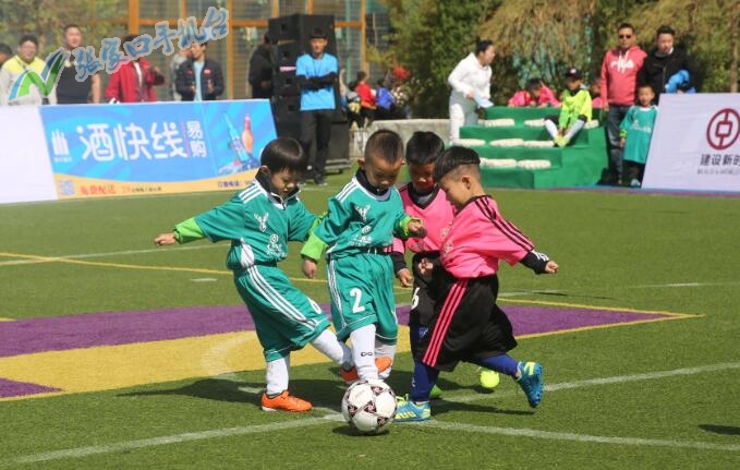 萌娃来袭幼儿园,萌娃来袭