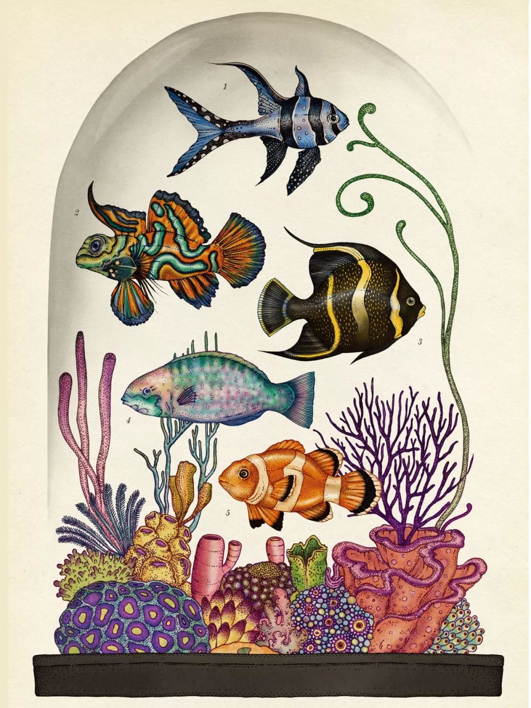 堪称一绝的野生动物画,世界动物画谱