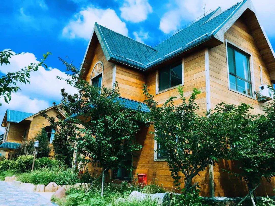 娴峰彛瑗挎捣宀告俯娉夊摢閲屽ソ,闈掑矝瑗挎捣宀告俯娉夊摢閲屽ソ