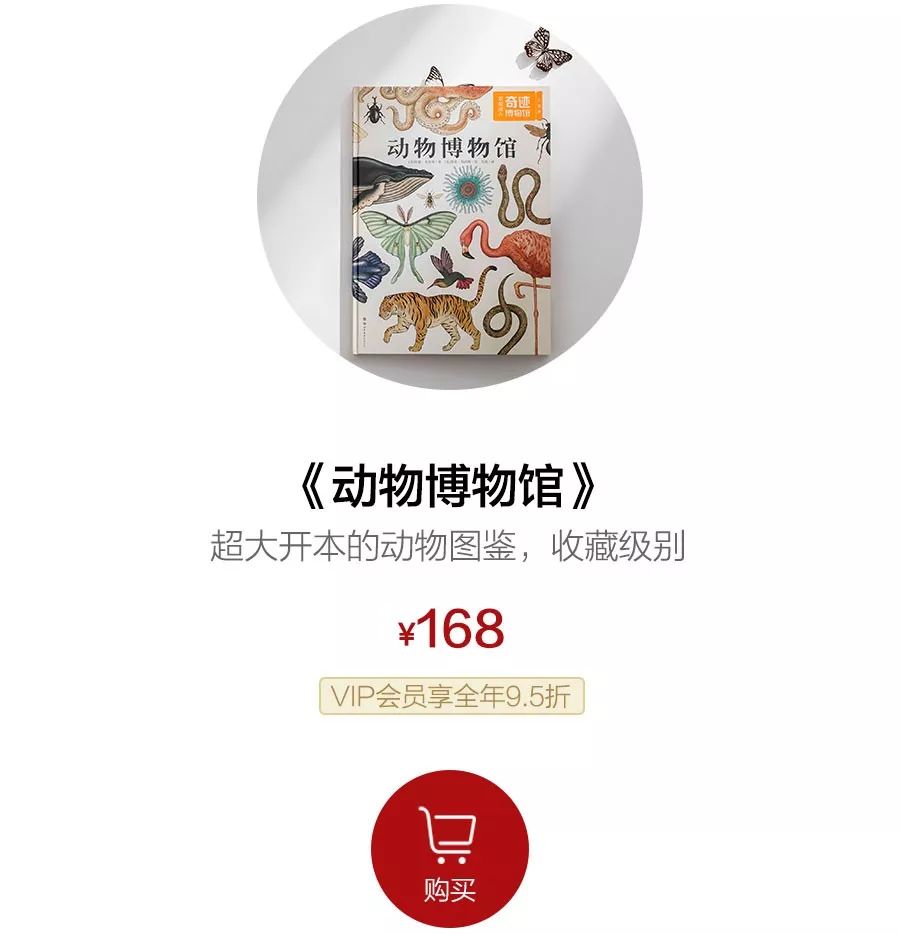 堪称一绝的野生动物画,世界动物画谱