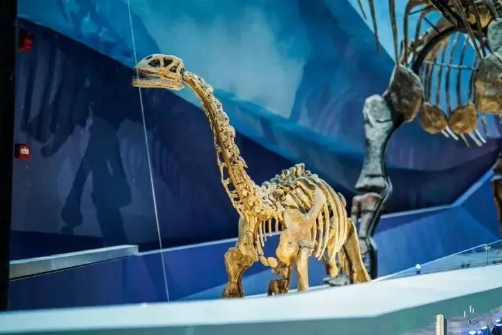 汉口里五一节有什么活动,汉口里五一活动