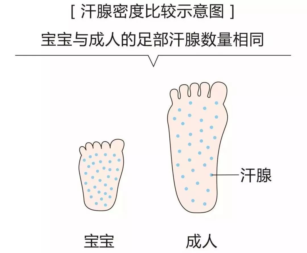 男童凉鞋小蓝羊,小蓝羊海星凉鞋