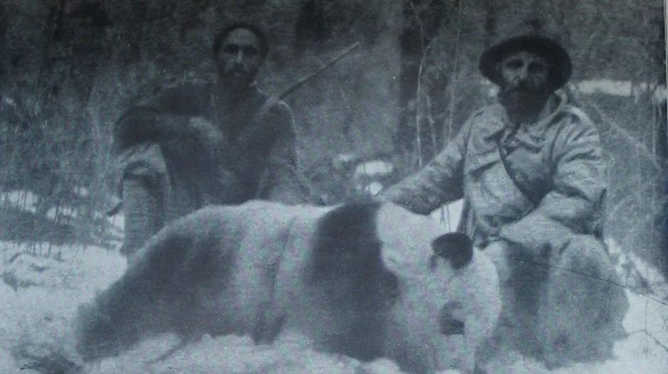 你才可爱你全家都可爱出处,你才可爱你全家都可爱怎么回