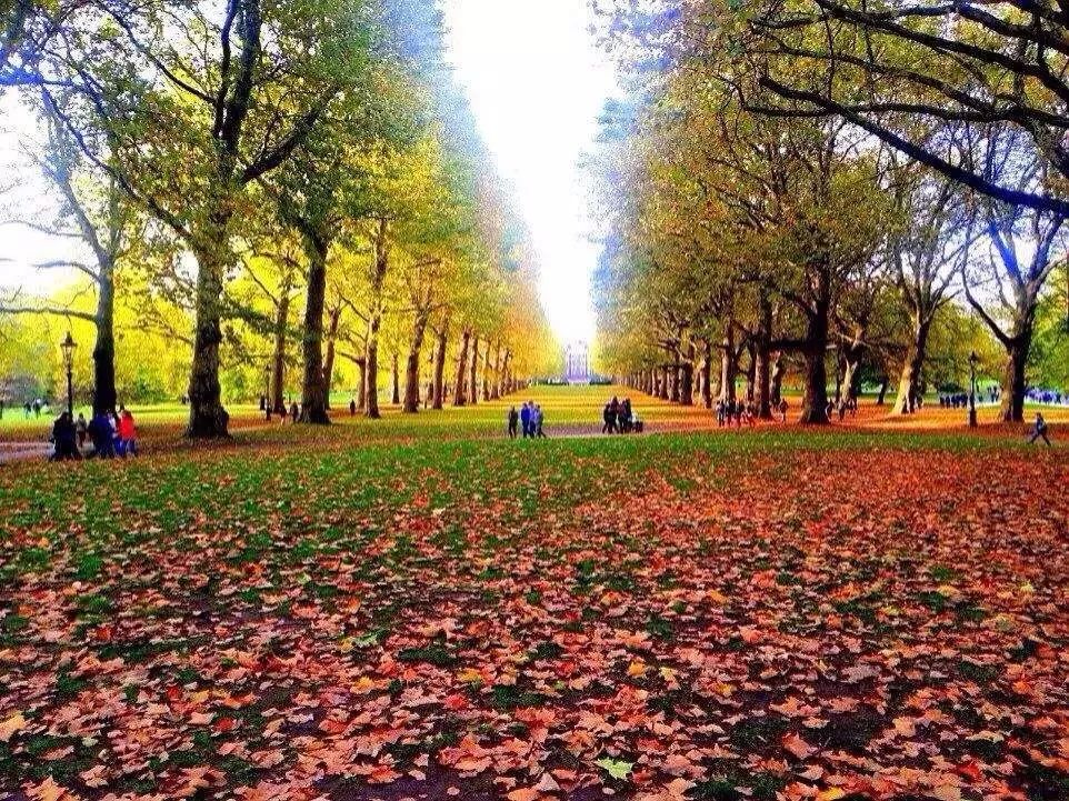 待天气晴好,伦敦阴雨天去哪旅游好