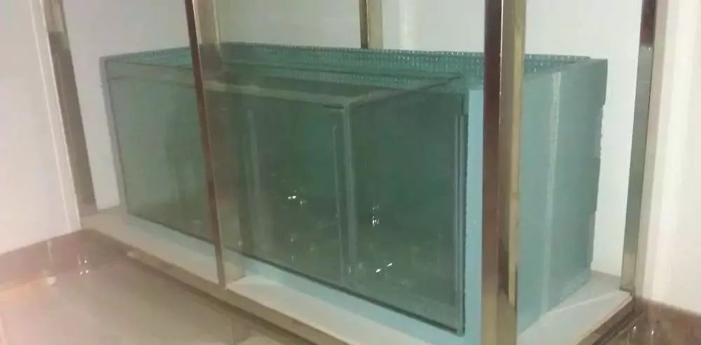 3000块的DIY罗缸，值么？