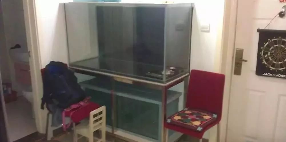 3000块的DIY罗缸，值么？