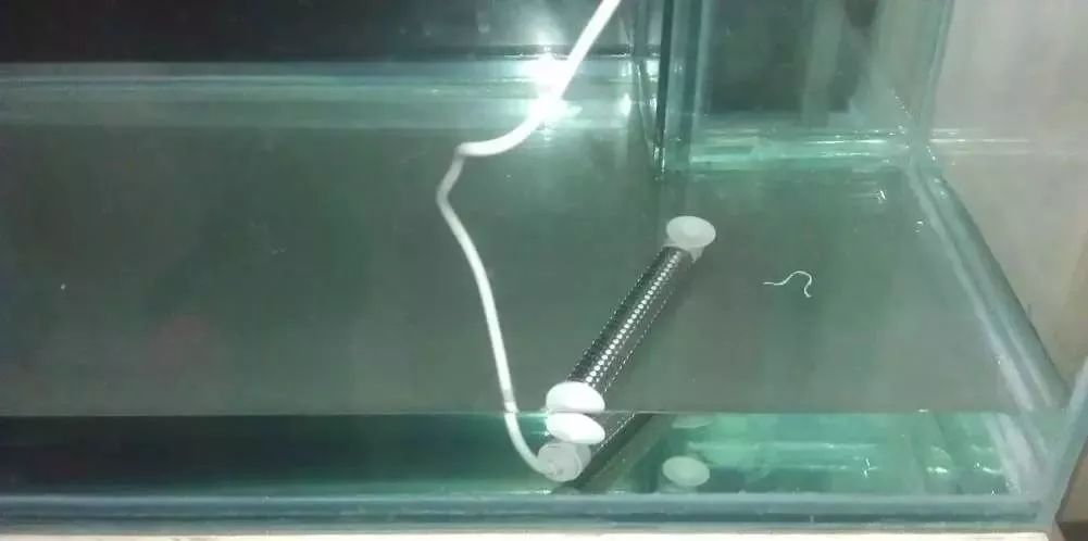 3000块的DIY罗缸，值么？