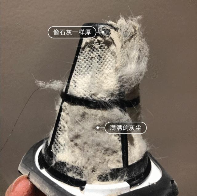 最先进的除螨仪,日本老牌除螨仪