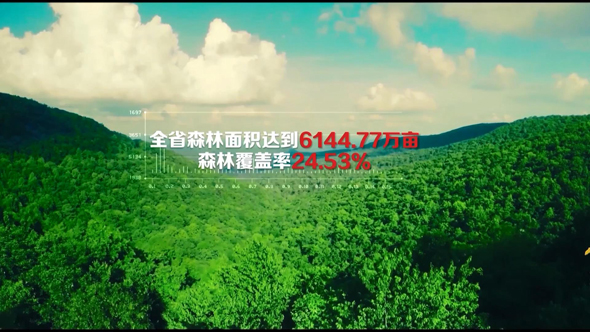 河南老家淅川乡愁,河南老家乡音乡愁