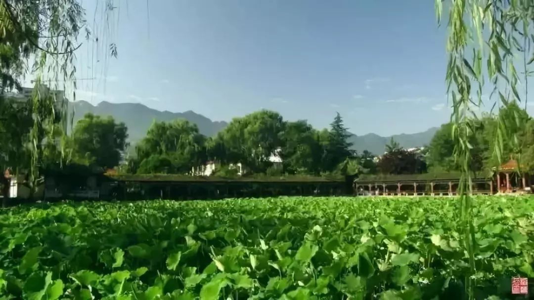 您好,这里是成县!