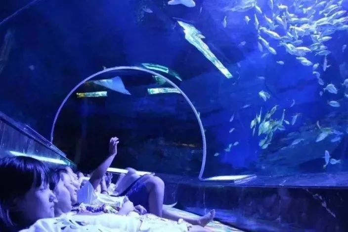 曲江创意谷游玩攻略,深宫曲江海静攻略