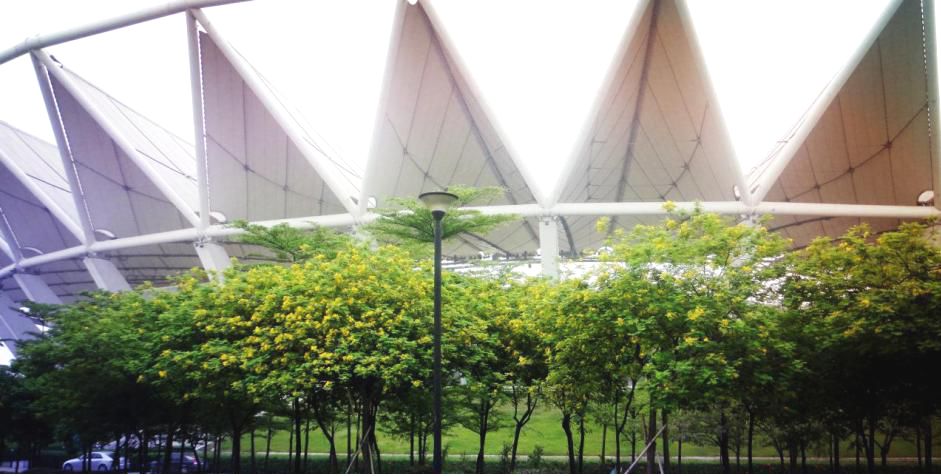 佛山亲子游好去处免门票花海,佛山儿童公园游玩攻略