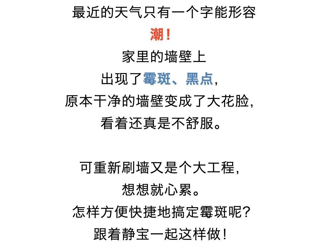 家里墙壁发霉怎么快速去除,墙壁发霉有很多小虫子怎么去除