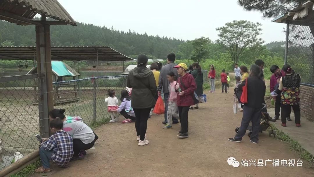 始兴开心农庄,始兴顿岗开心农庄要不要门票