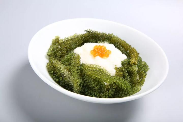 杭州10大顶级日料餐厅,杭州omakase日料店