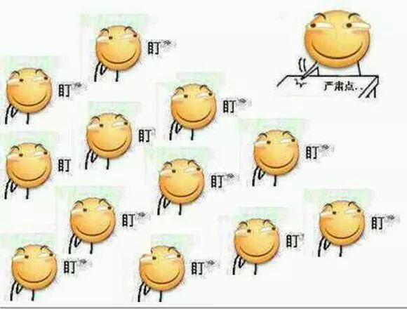 新西兰幼教移民,大龄新西兰留学移民