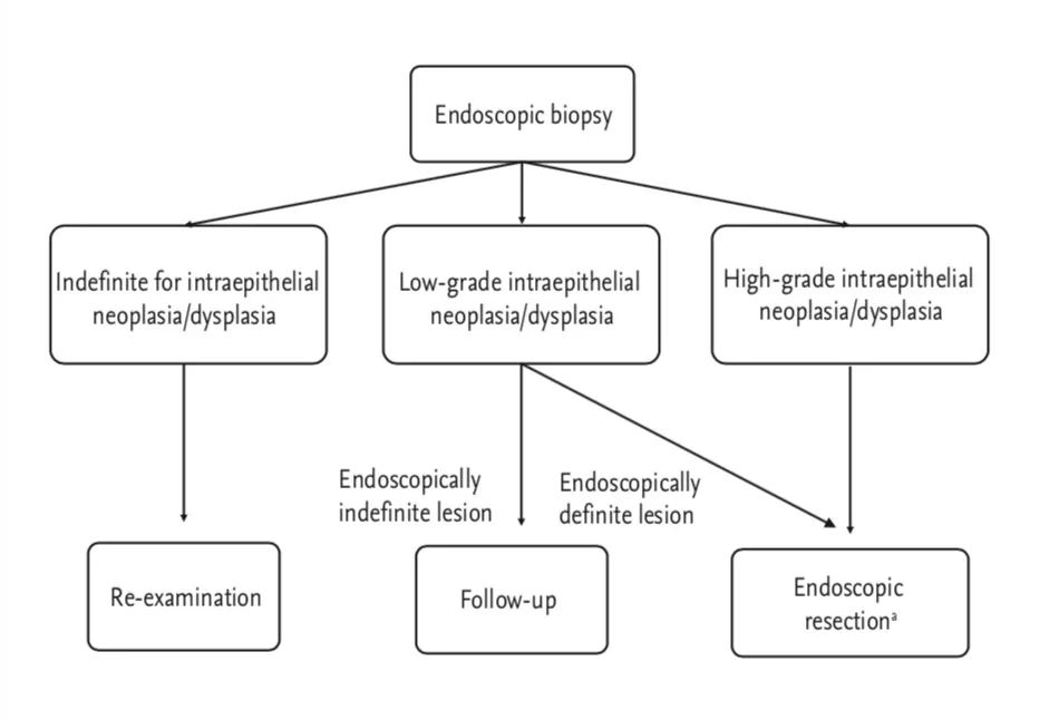 胃镜低级别上皮内瘤变如何治疗,胃镜高级别上皮内瘤变是什么意思
