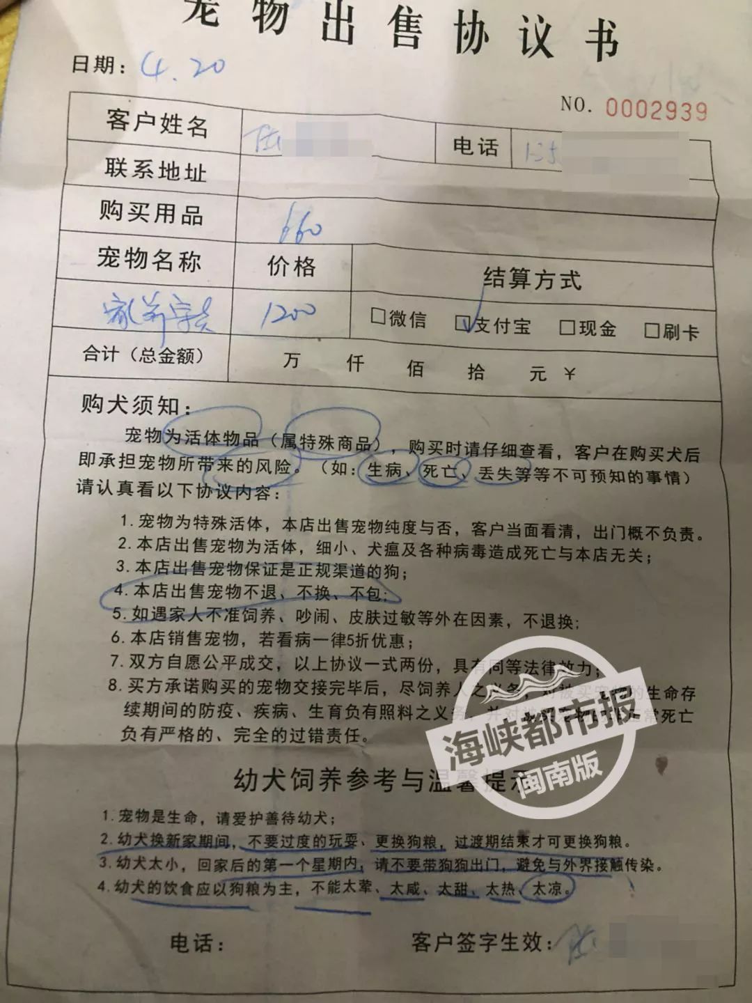 1200元的柴犬2天就死了,2000多买的狗死了